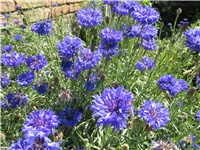 76366d09-Picture 824.jpg
